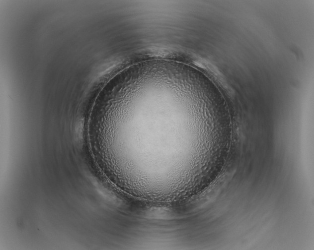 X0000112360066200908131505