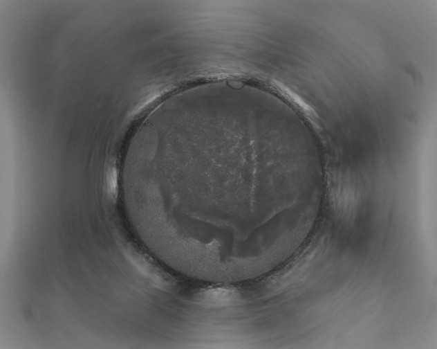 X0000112360067200908131505