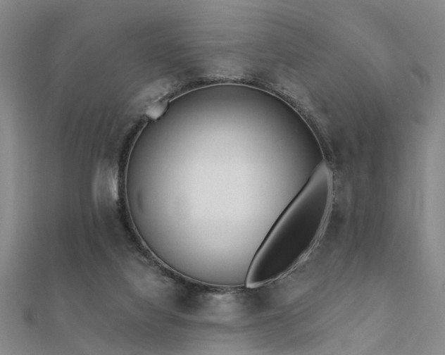 X0000112360068200908131505