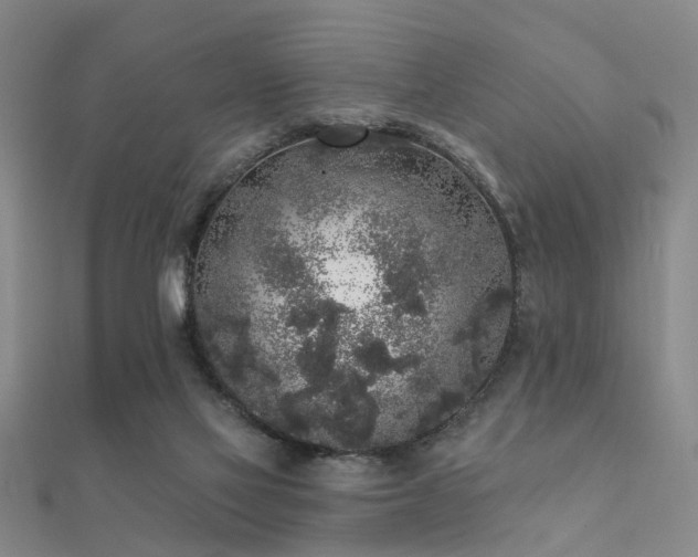 X0000112360069200908131505