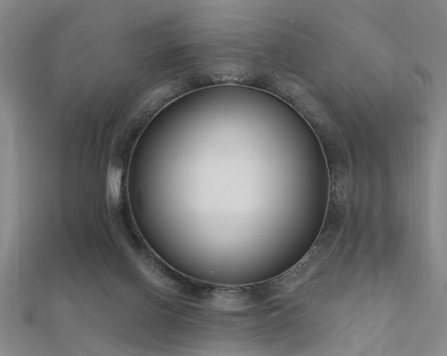 X0000112360070200908131505