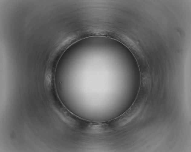 X0000112360072200908131505