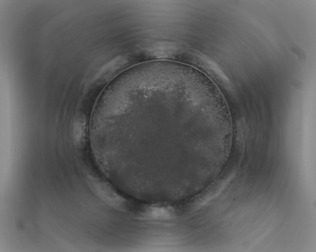 X0000112360073200908131505