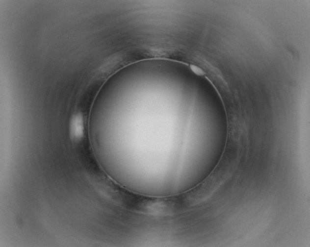 X0000112360075200908131505