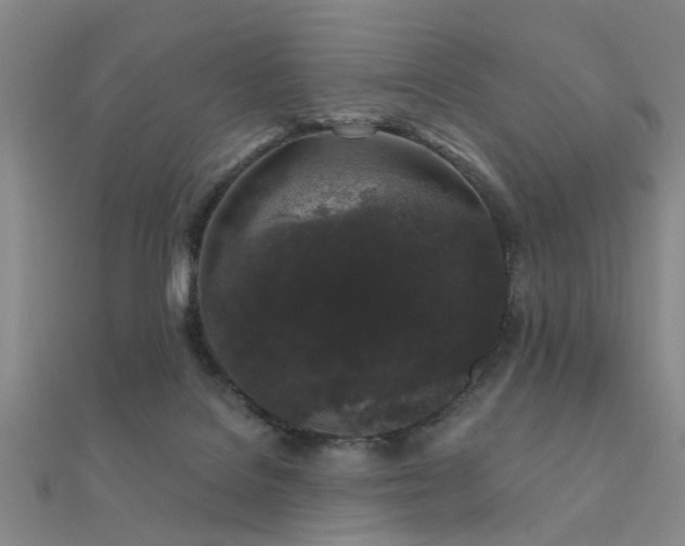 X0000112360076200908131505