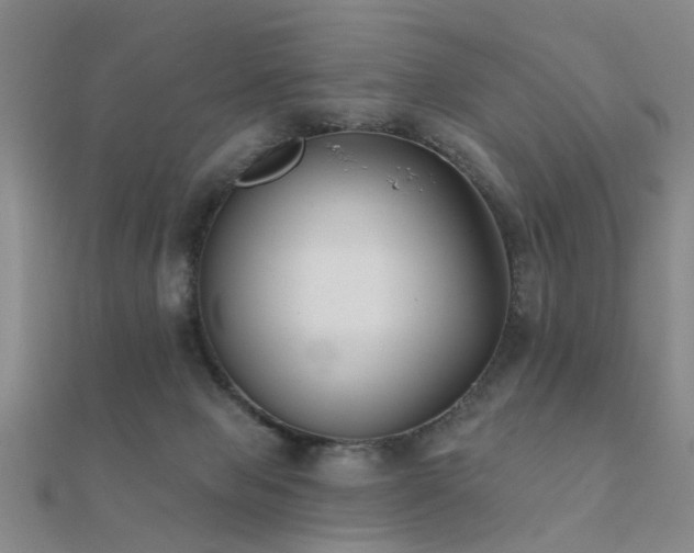 X0000112360077200908131505
