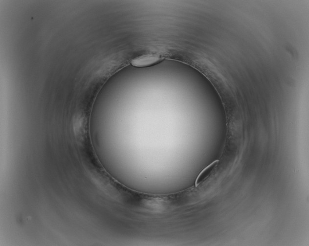 X0000112360079200908131505