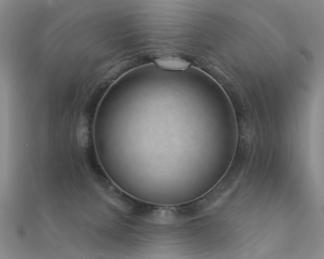 X0000112360080200908131505
