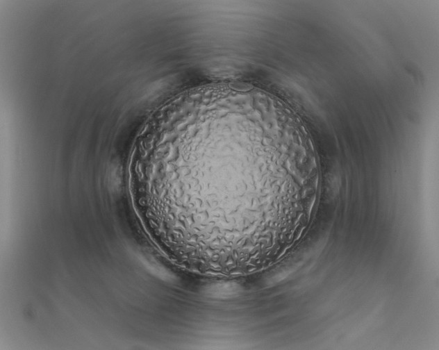 X0000112360081200908131505