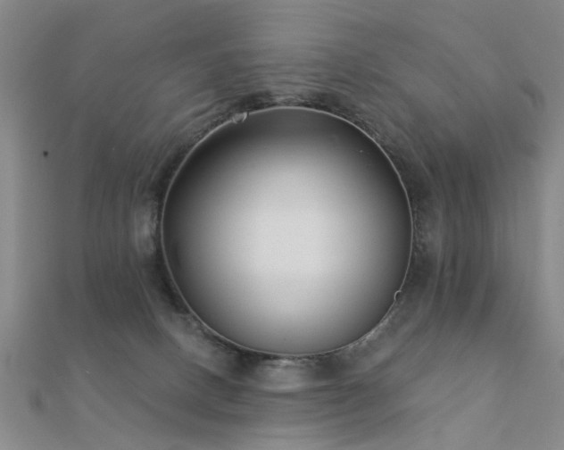 X0000112360082200908131505