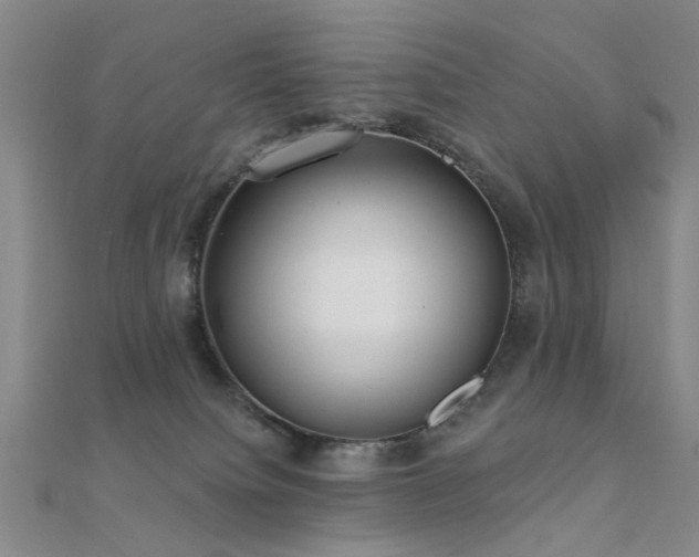 X0000112360084200908131505