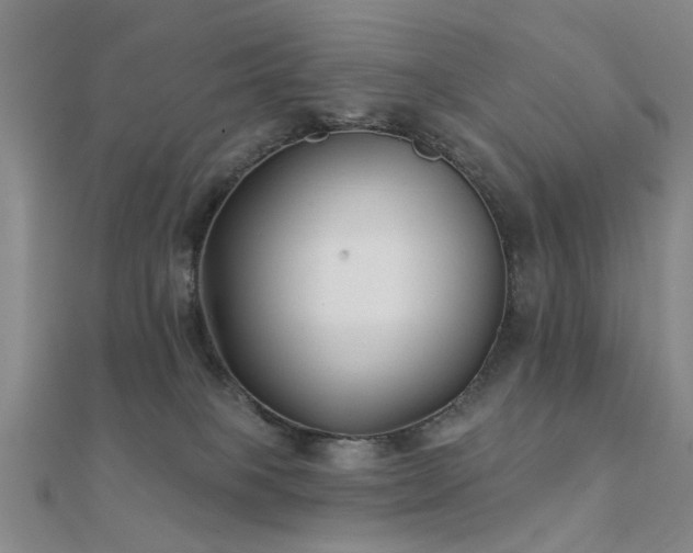 X0000112360085200908131505
