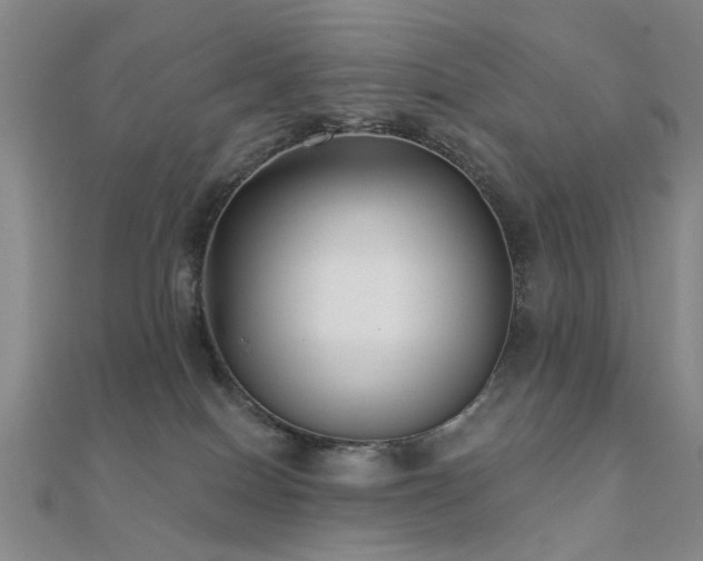 X0000112360086200908131505