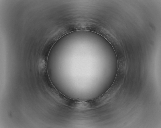X0000112360087200908131505