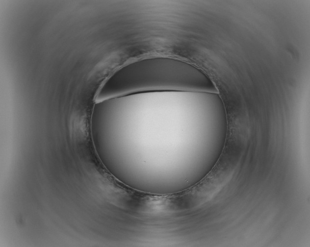 X0000112360088200908131505