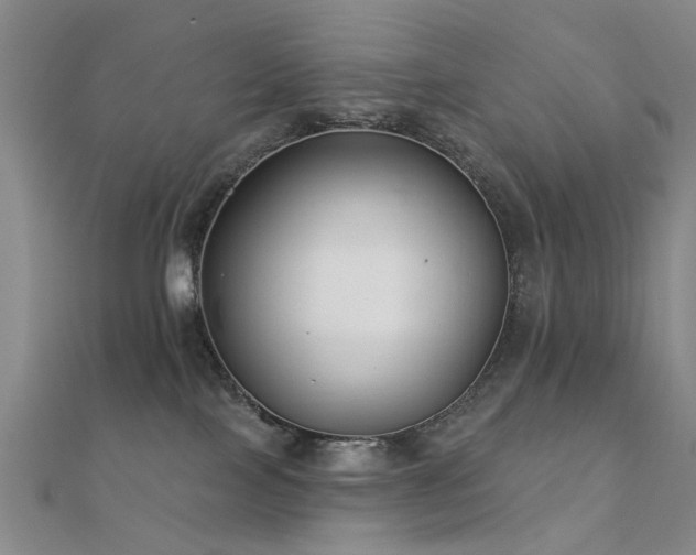 X0000112360089200908131505