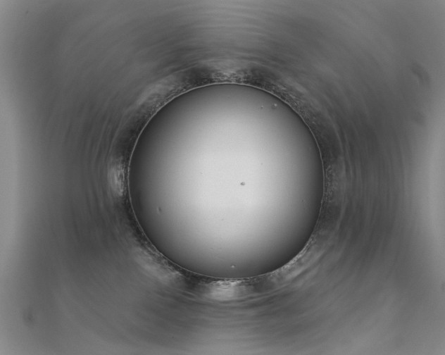 X0000112360090200908131505