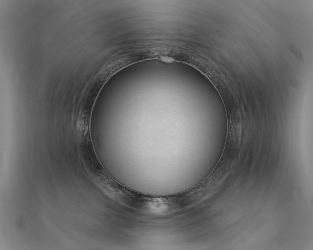 X0000112360091200908131505