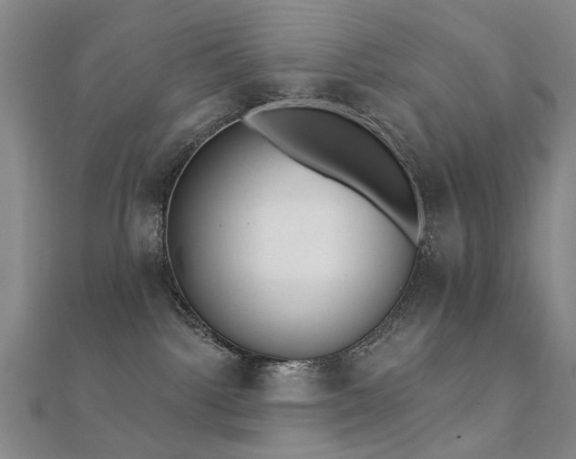X0000112360092200908131505
