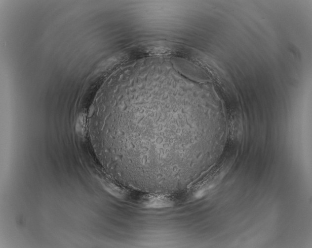 X0000112360093200908131505