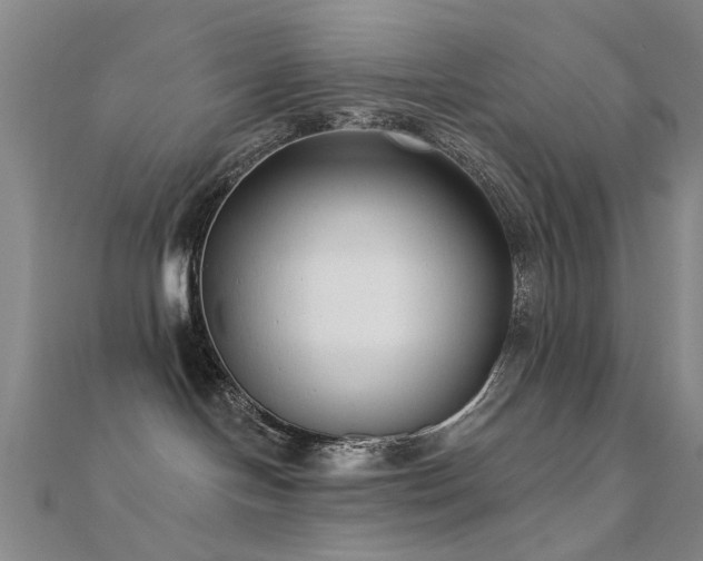 X0000112360094200908131505