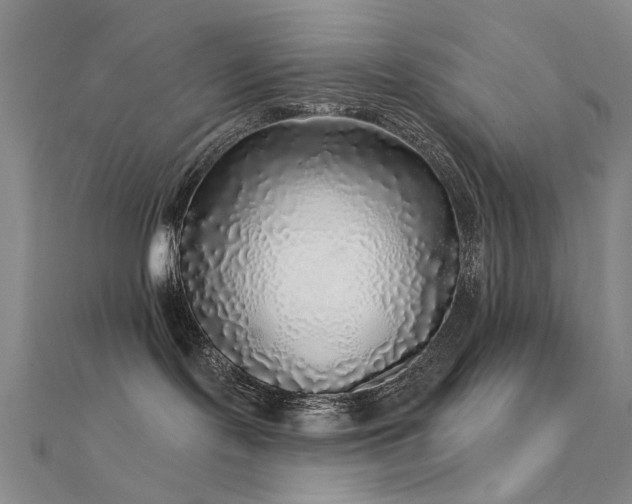 X0000112360095200908131505