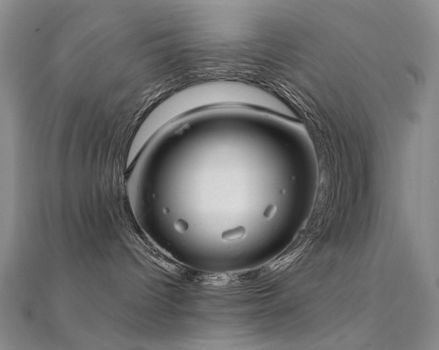 X0000112360096200908131505