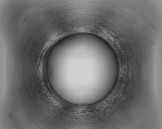 X0000112360098200908131504