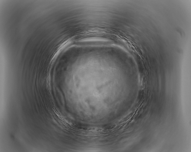 X0000112360099200908131504