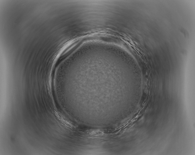 X0000112360100200908131504