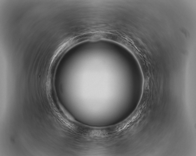 X0000112360101200908131504