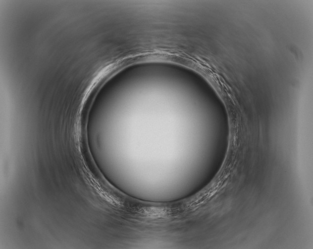 X0000112360102200908131504