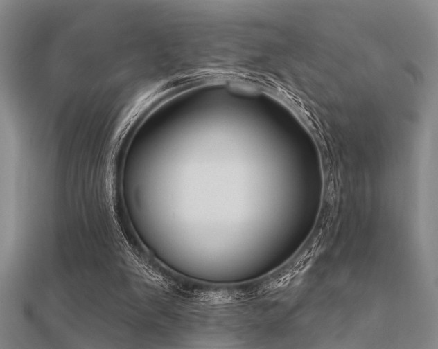 X0000112360103200908131504