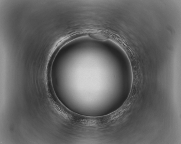 X0000112360104200908131504