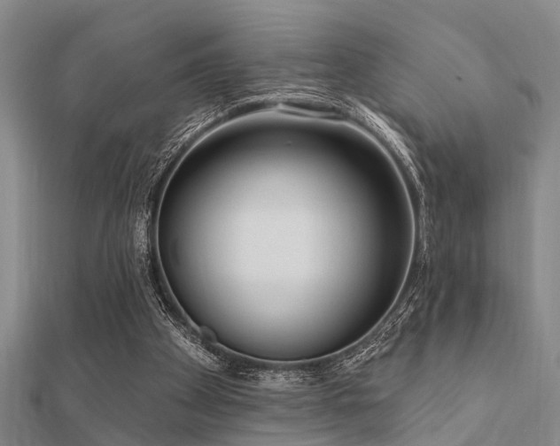 X0000112360105200908131504