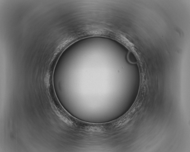 X0000112360106200908131504