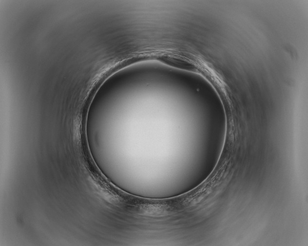 X0000112360107200908131504
