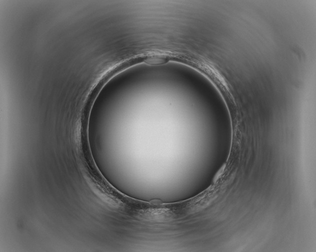 X0000112360108200908131504