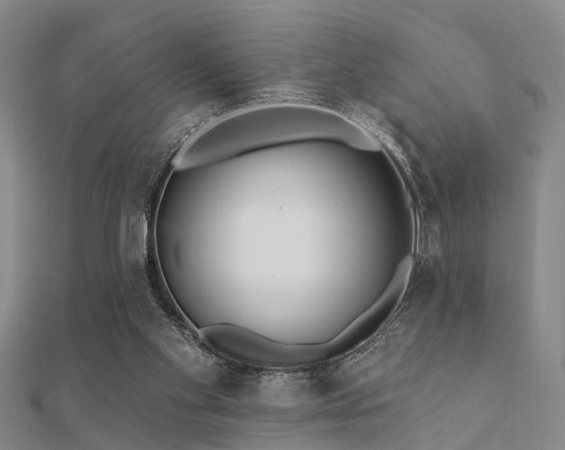 X0000112360109200908131504