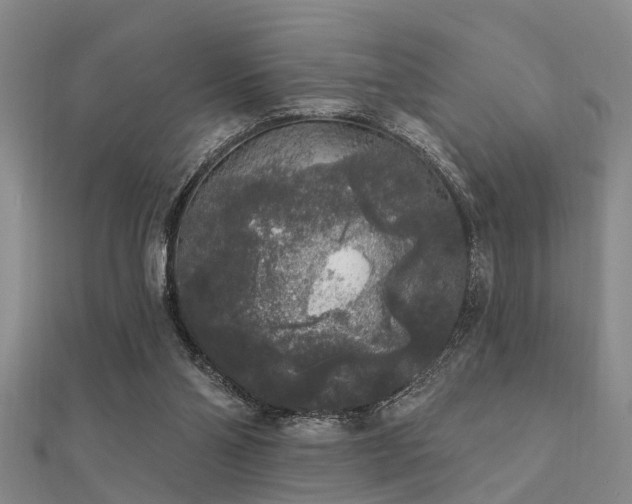 X0000112360110200908131504