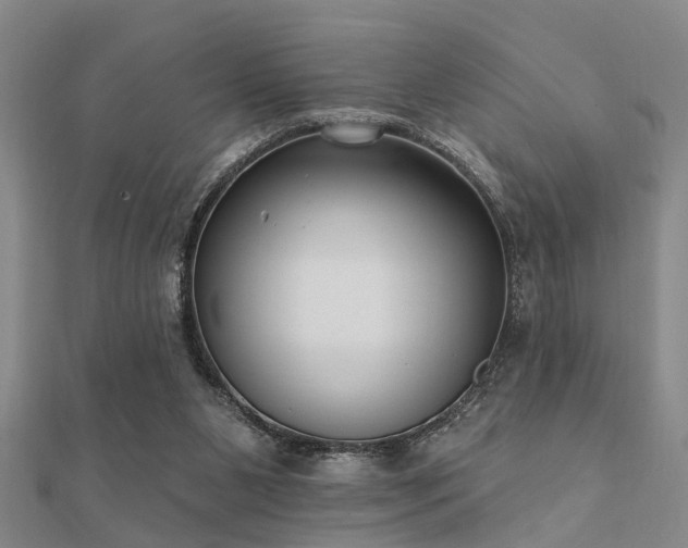 X0000112360111200908131504