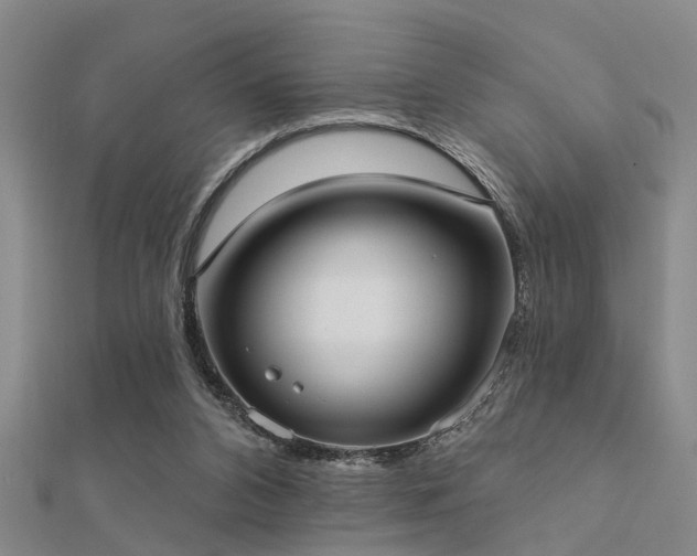 X0000112360112200908131504