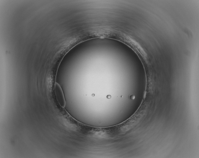 X0000112360113200908131504