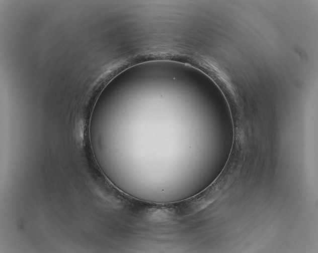 X0000112360115200908131504