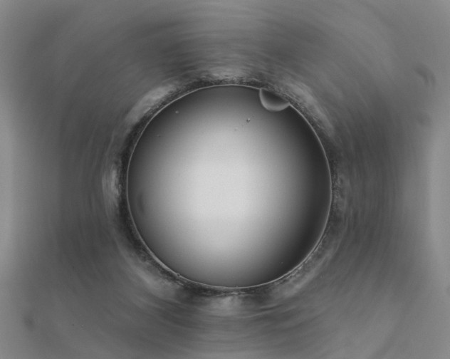 X0000112360116200908131504