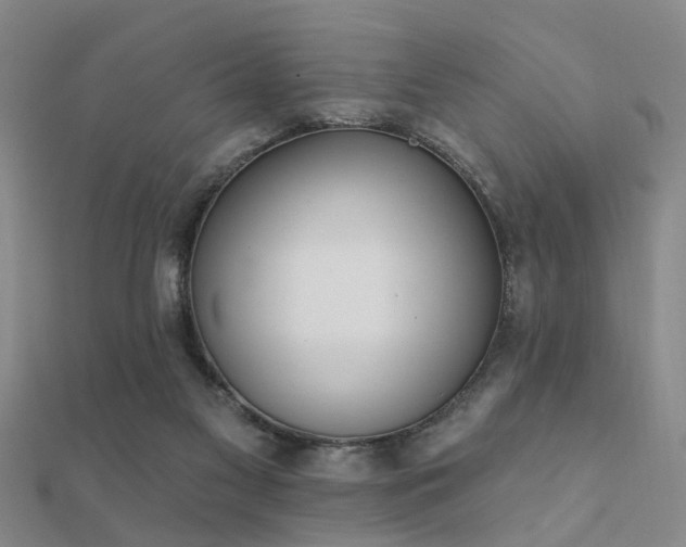 X0000112360117200908131504