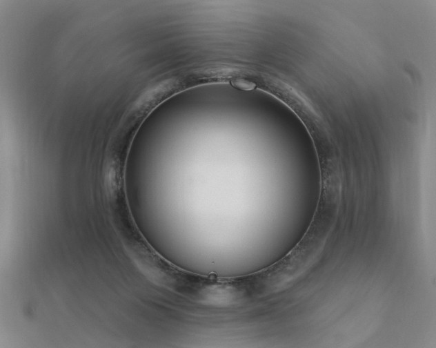 X0000112360119200908131504