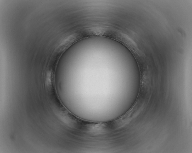 X0000112360122200908131504