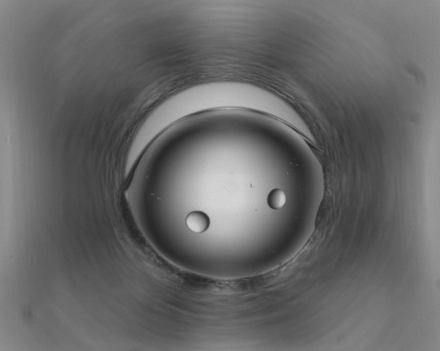 X0000112360124200908131504