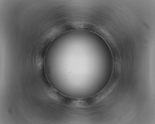 X0000112360125200908131504